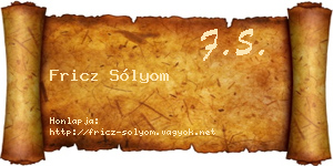 Fricz Sólyom névjegykártya